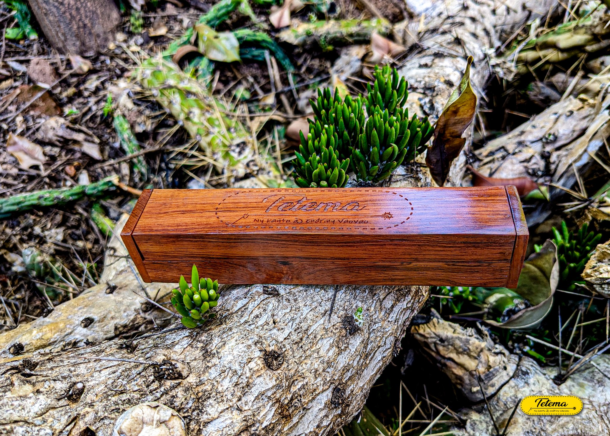 Étui stylo en palissandre - Stylo inclus - Image 2