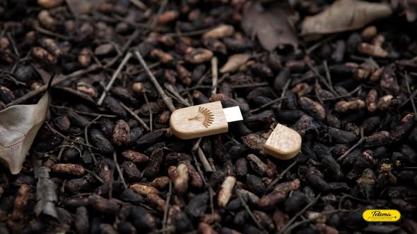 Clé USB en Bois avec aimant - Image 3