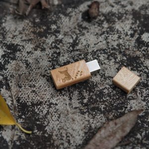 Clé USB en Bois avec aimant