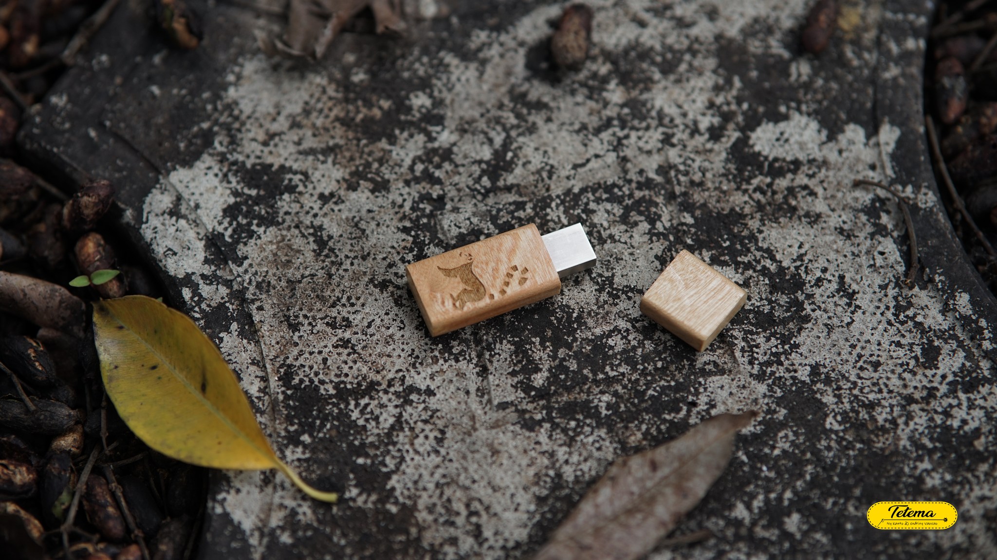 Clé USB en Bois avec aimant