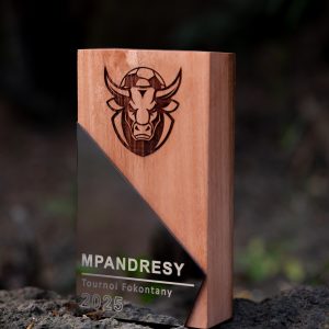 Trophée Signature Bois massif & Acier